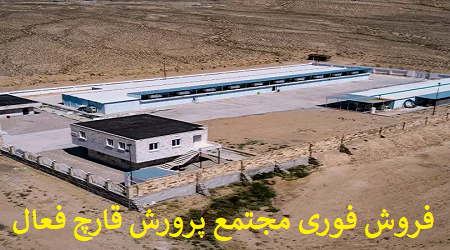 سمنان - شاهرود